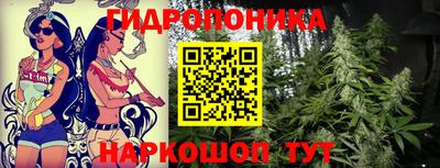 кокс Тулун