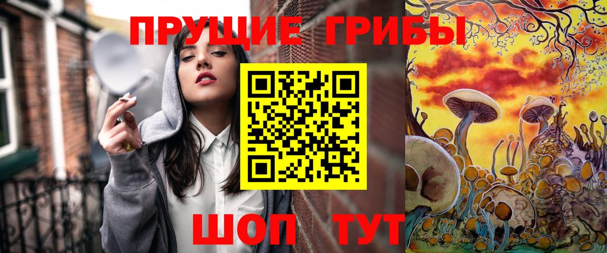 купить  сайты  Псилоцибиновые грибы Magic Shrooms  Вход с VPN  Медногорск 