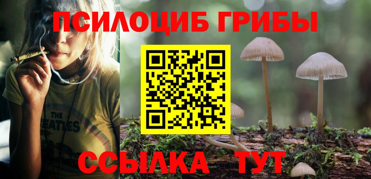 Псилоцибиновые грибы ЛСД Медногорск
